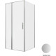 Душевой уголок Allen Brau Priority 100x100 3.31029.BA + 3.31047.BA серебро браш