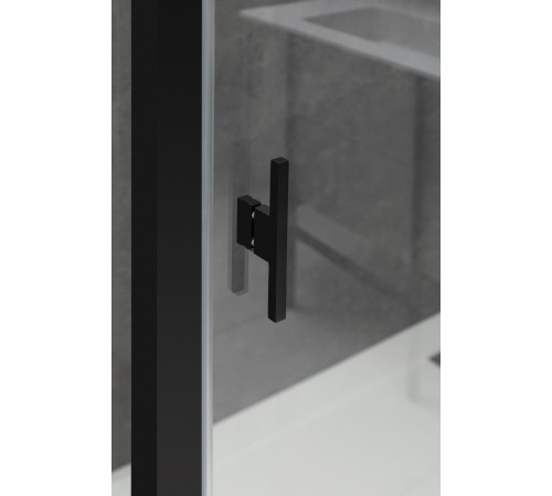 Душевой уголок Allen Brau Priority 120x100 3.31009.BBA + 3.31021.BBA черный браш