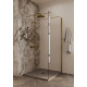 Душевая перегородка Allen Brau Infinity 2 120 3.21044.BA.T серебро браш