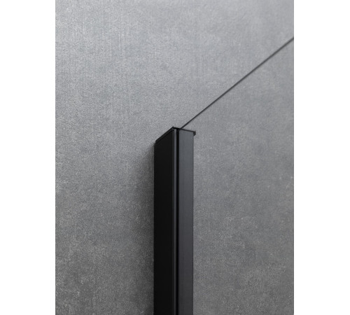 Душевой уголок Allen Brau Priority 160x100 3.31039.BBA + 3.31048.BBA черный браш