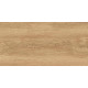 GT220VG Керамогранит Florida бежевый матовый 30x60