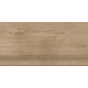 ST211VG Ступень Nostrum бежевая неполированная 30x60