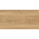 GT220VG Керамогранит Florida бежевый матовый 30x60