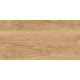 GT220VG Керамогранит Florida бежевый матовый 30x60