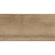 ST211VG Ступень Nostrum бежевая неполированная 30x60