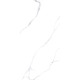 GT120607603PR Керамогранит Romantic белый Slim полированный 60x120