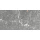 GT99VG Плитка настенная Capella серая глянцевая 25x50