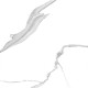 GT60601503MR Керамогранит Anima белый матовый 60x60