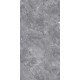 GT1206015701PSiR Керамогранит Silver серый полированный 60x120