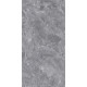 GT1206015701PSiR Керамогранит Silver серый полированный 60x120