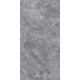 GT1206015701PSiR Керамогранит Silver серый полированный 60x120